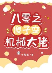 八零之傻子变机械大佬