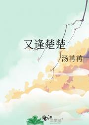 恶毒女配生存指南