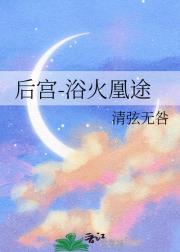 后宫-浴火凰途