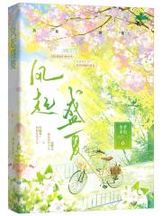 风起盛夏