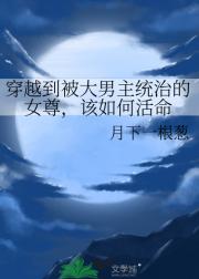 穿越到被大男主整治过的女尊文，改如何活命