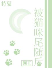 [网王]被猫咪尾随后