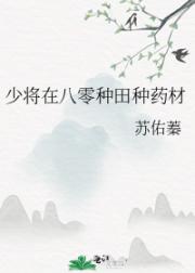 八零二婚飒妻