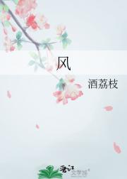风