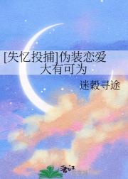[失忆投捕]伪装恋爱大有可为