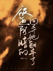 被迫阴暗的向导她翻车了