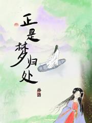 正是梦归处