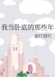 我当卧底的那些年