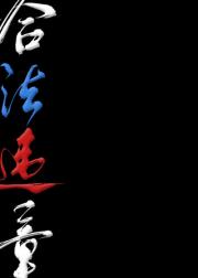 合法违章