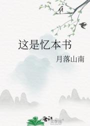 这是一本小说