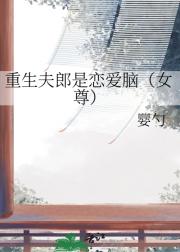 重生夫郎是恋爱脑（女尊）
