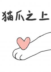 猫爪之上[青梅竹马]