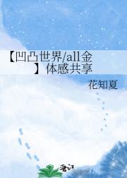 【凹凸世界/all金】体感共享