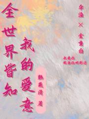 全世界皆知我的爱意