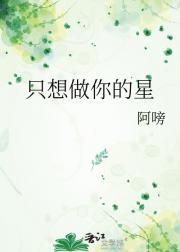 只想做你的星