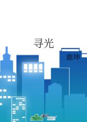 寻光
