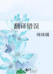 翻译错误