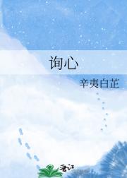 询心
