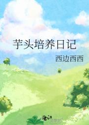 芋头培养日记