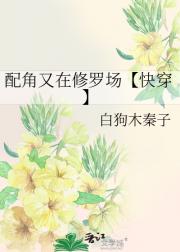 配角又在修罗场【快穿】
