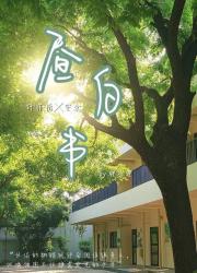 昼白书