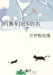 [F1赛车]冠军的名字