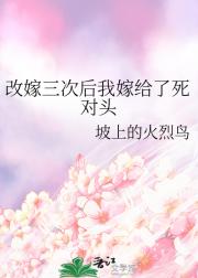 改嫁三次后我嫁给了死对头