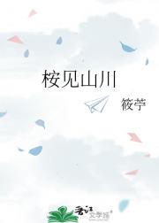 桉见山川