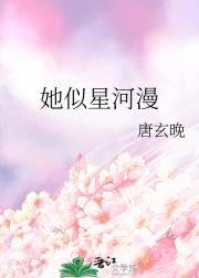 她似星河漫