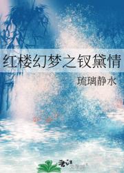 红楼幻梦之钗黛情