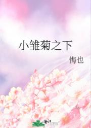 小雏菊之下