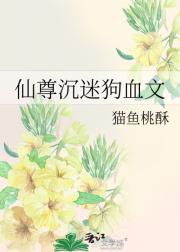 仙尊沉迷狗血文