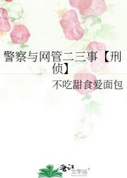 警察与网管二三事