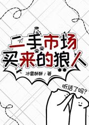二手市场买来的狼人