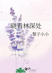 晓看林深处