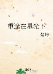 重逢在星光下