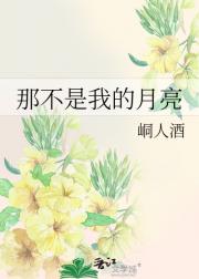 那不是我的月亮