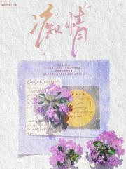 痴情