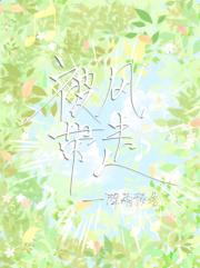 被风带走