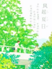风起夏日卷青春