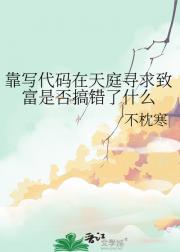 靠写代码在天庭寻求致富是否搞错了什么