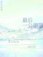 最后一公里[破镜重圆]