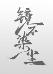 镜不染尘