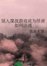 误入谍战游戏成为俘虏如何出逃