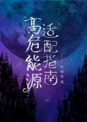 高危能源适配指南