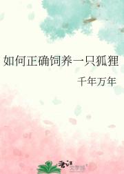 如何正确饲养一只狐狸