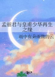 孟丽君与皇甫少华再生之缘