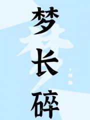 梦长碎