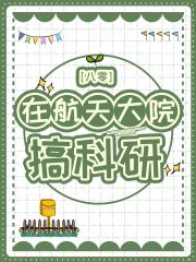 草台科研班子捅娄子日常[80]