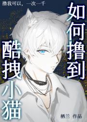 如何撸到冷酷小猫